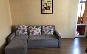 Glushko Apartment 2 Rooms